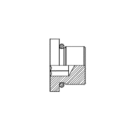 Adaptador Macho BSP O-ring Sextavado Interno