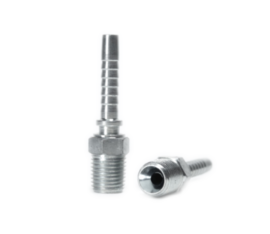 Macho Fixo (npt)